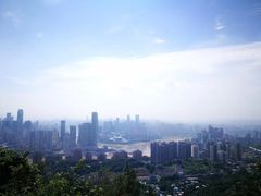 -南山植物园