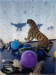 -幻贝家儿童乐园(武汉永旺梦乐城店)