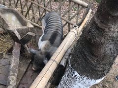 -长兴太湖图影湿地文化园