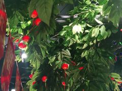 -草原塞蛮羊火锅城(港湾店)