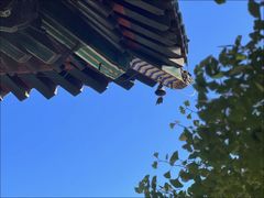 -红螺寺