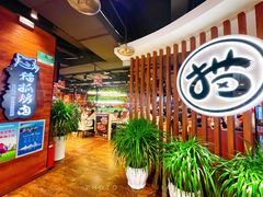 -猫爪爪原切自助烤肉(观音桥阳光世纪店)