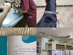 -美联众合动物医院·24h转诊中心