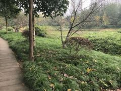 -重庆彩云湖湿地公园