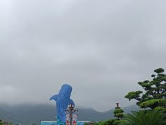 -珠海长隆海洋王国-鹦鹉过山车