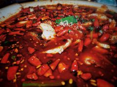 沸腾鱼-青城甲(青城山店)