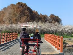 -上海海湾国家森林公园
