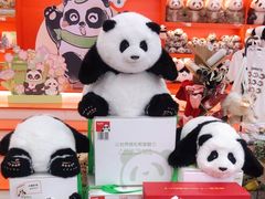 -熊猫邮局(少城店)