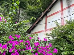 -郫都区农科村景区