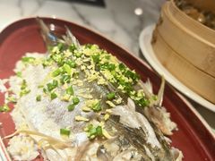 -钟菜·粤菜点心·宴请(海上世界·汇港二期店)