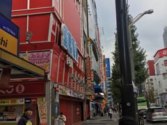 -秋叶原电器街