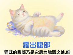 -御宝贝·A梦猫科宠物医院(国际猫友好医院)