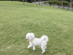 -广富林郊野公园