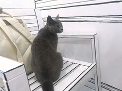 -白夜2D咖啡馆