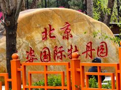 -太阳宫公园