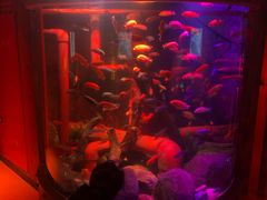 -沈阳海洋探索中心