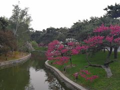 -钓鱼台国宾馆