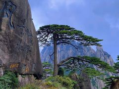 -黄山风景区