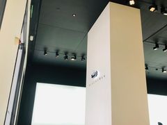 -BLACKSWAN黑天鹅(环球店)