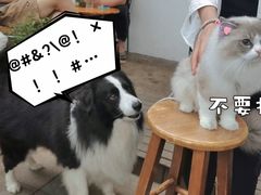 -白熊咖啡(闽江大道店)