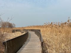 -阳澄湖半岛旅游度假区