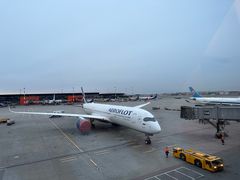 -谢列梅捷沃国际机场