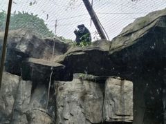 -南昌动物园