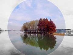 -贡湖湾湿地公园