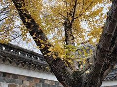 -清漾毛氏文化村