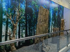 -延庆地质公园博物馆