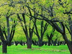 -艾溪湖湿地公园