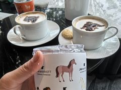 -东方美谷JW万豪酒店·The lounge大堂吧