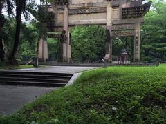 -中山大学学者灵芝(园南路店)