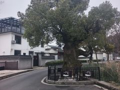 -东梓关景区村庄
