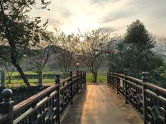 -红山村