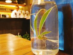 -MAP CHA普洱茶馆(翠湖店)