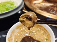 -杨家火锅(国美店)