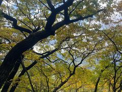 -九鼎铁刹山风景区