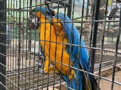 -北京野生动物园