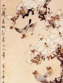 -杨梅红艺术教育(西安高新唐延教学中心)
