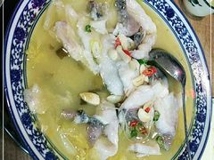 -金三可市井水煮鱼(金碧园店)