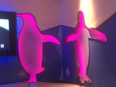 -米乐星世界KTV