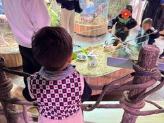-正佳雨林生态植物园