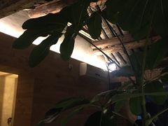 -VOYAGE COFFEE(北锣鼓巷店)