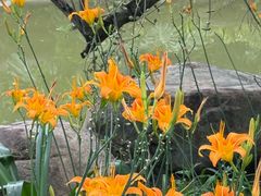 -广州神农草堂中医药博物馆