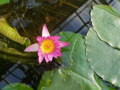 -国家植物园南园