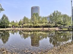 -群力丁香公园