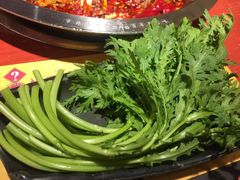 茼蒿-谭鸭血老火锅(龙湖宝山天街店)