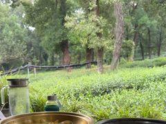 -野蔓果·山野菜(西湖景区·龙井茶田店)