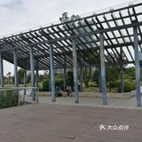 南京旅游攻略，九龙湖公园，小众打卡地